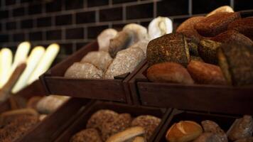 Assorted Doughnuts Displayed on Shelf video