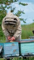 Apiarist in protective outfit using the metal tool to gather the extra wax from frames. Beekeeper taking care of his farm. Nature green backdrop. Vertical video