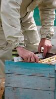 Mature bee farmer pulls the frame with bees from a hive. Beekeeper turning the frame in hands checking it. Blurred nature backdrop. Vertical video