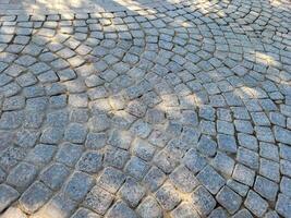 The sidewalk is made of gray square paving stones with shade from the foliage of trees photo