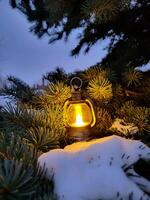 An ancient glowing small decorative lantern stands in the snow on the branches of a fir tree. The concept of New Year and Christmas photo