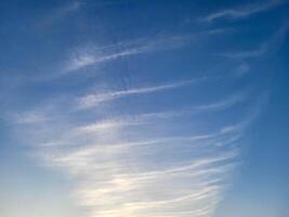 Strips of white fluffy clouds lie against the background of the blue sky photo