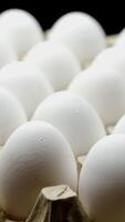 White chicken eggs in a cardboard box. Eggs in the container Vertical video