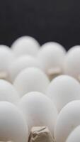 Hand puts eggs in a box. Eggs are stacked in a tray. Vertical video