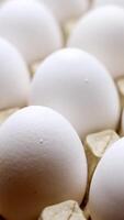 Eggs in a cardboard box from chicken farm Vertical video
