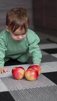 Caucasian toddler crawling on all fours by the floor indoors. Beautiful little kid approaches big red apples on the carpet and taking one with interest. Vertical video