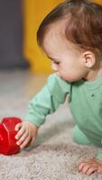 Curious toddler crawling up to the red dumbbells with interest. Adorable child takes one dumbbell and rolls it by the carpet. Blurred backdrop. Vertical video
