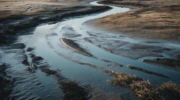 A river running through a marshy field photo