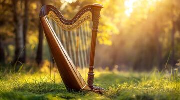 A harp in the grass with sunlight shining through the trees photo