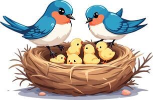 Two blue birds and two baby birds in a nest vector