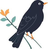 Blackbird on a branch with orange flower vector