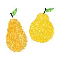Two hand-drawn pears with a scribble texture, featuring green leaves and a white background. vector
