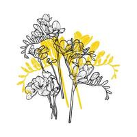 T-shirt design with line art and flat fill freesias. Hand drawn freesias bouquet for textile and apparel print. Can be used in both online and print projects. vector