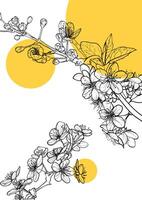 A4 design template with line art cherry blossoms and yellow bubbles. Hand drawn outline of these beautiful spring flowers on yellow and white background. Ready to be used in print and online projects. vector