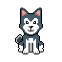 Pixel art a cute siberian husky dog in retro style vector
