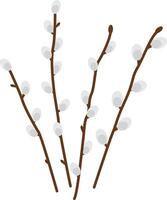 Branches of spring willow seals. vector