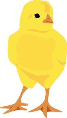 Standing yellow little chicken.
