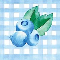 watercolor pattern in blue checkered pattern with blueberries. vector