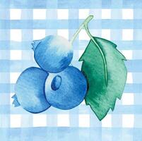 watercolor pattern in blue checkered pattern with blueberries. cute print vector