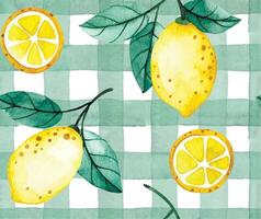 seamless watercolor pattern in green checkered pattern with lemons. cute print vector