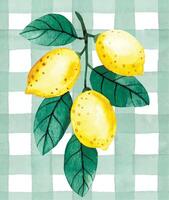 watercolor pattern in green checkered pattern with lemons. cute print vector
