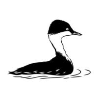 a black and white drawing of a duck grebe vector
