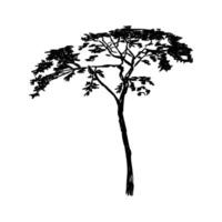a tree with leaves on it is shown in black and white vector