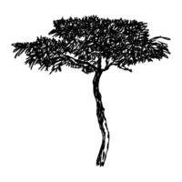a drawing of a tree with leaves vector