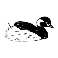 drawing of a duck vector