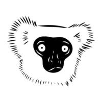 head of a half-monkey sifaka black and white sketch vector