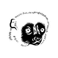 the head of the Madagascar half-monkey sifaka sketch vector