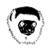 Madagascar sifaki monkey head sketch vector