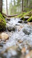 serene forest stream flows over smooth stones, surrounded by lush green moss and trees. gentle sound of cascading water creates peaceful atmosphere in nature photo