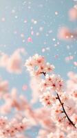 Blossoming cherry trees with soft pink petals against blue sky, creating serene and dreamy atmosphere. scene is enhanced by floating petals, evoking sense of tranquility and beauty photo