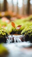 serene forest scene featuring small stream with cascading water, surrounded by vibrant green moss and single leaf emerging from water. tranquil atmosphere evokes sense of peace and connection with photo