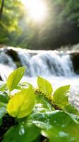 Lush green leaves in front of serene waterfall, sunlight glistening on water photo