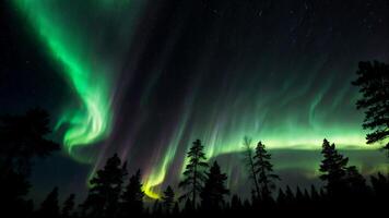 The aurora borealis is seen in the sky above trees photo