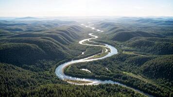 An aerial view of a river flowing through a forest photo