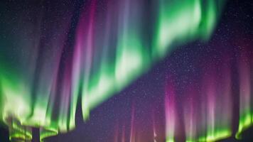 Captivating Aurora Borealis Night Sky Footage with Vibrant Colors video