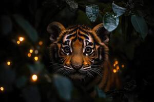 A young tiger peers intently through dense foliage, its striking amber eyes contrasting with the deep shadows of the forest. Soft glimmers of light add a mysterious allure to the setting photo