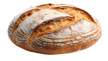 A rustic, crusty loaf of bread with a flour-dusted surface and deep scoring, highlighting artisanal craftsmanship and the warmth of fresh baking png