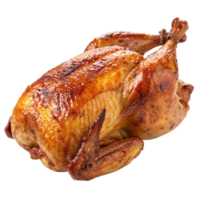 A view of a roasted chicken, slightly different angle, showcasing its plump, juicy appearance with browned skin and appealing texture png