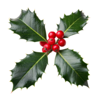 Symmetrically arranged holly leaves, deep green with yellow veins, frame a group of plump red berries, creating a festive pattern png