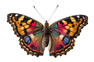 A butterfly with detailed, colorful wings, featuring spots of red, blue, and orange. A beautiful close-up showcasing nature artistry png