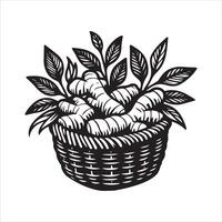 Ginger Basket Overflowing with Warmth vector
