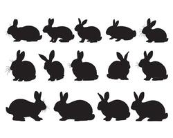 Rabbit silhouette white background vector