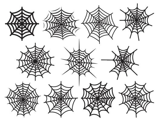 Spider web silhouette white background