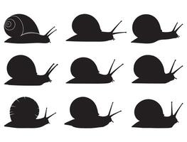 Snails silhouette white background vector