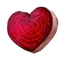 Unique heart-shaped beetroot showing vibrant red color and natural patterns found in a garden during daylight hours png