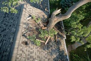A large tree has collapsed onto the roof of a house, causing significant structural damage. The scene shows debris scattered on the ground and surrounding greenery photo